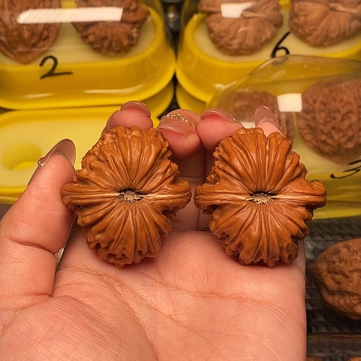 噜****41。元宝楼              