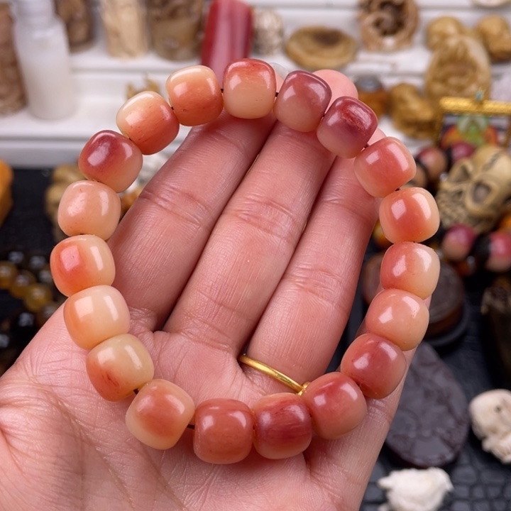 驼骨其他骆驼骨老邢12