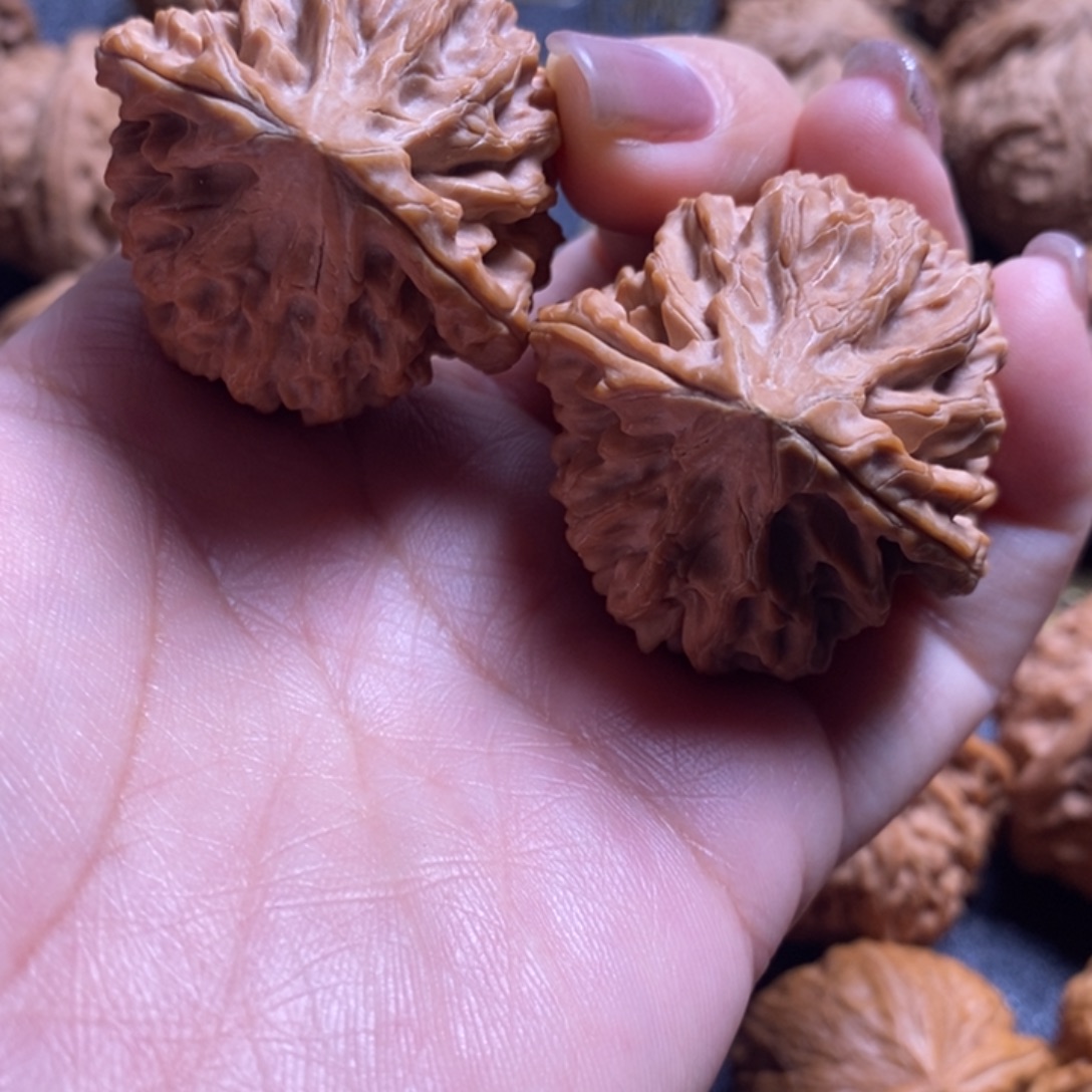 墨***`核桃39龙门涧核桃