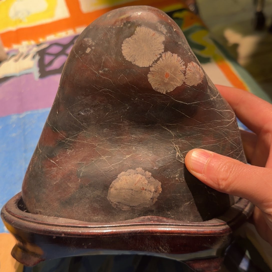 手工艺品木我是一只小小鸟地域鬼