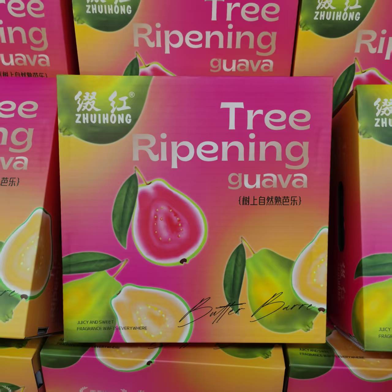 精品水果 番石榴红心芭乐  一盒