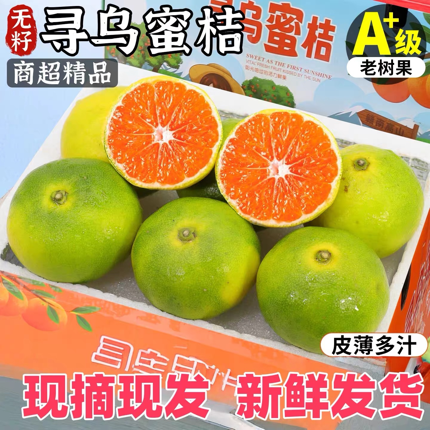 平晏果园正宗江西赣南寻乌蜜桔新鲜薄皮现摘橘子孕妇水果9斤大果