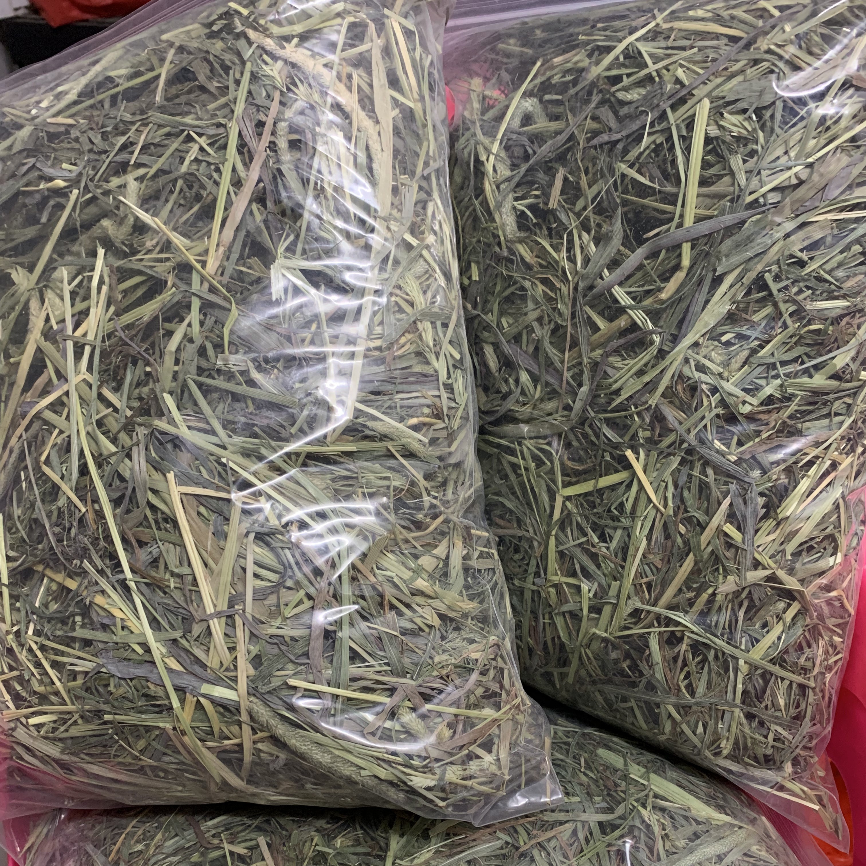 晒干头茬特级绿提摩西干草兔子龙猫猪主食牧草磨牙高纤维