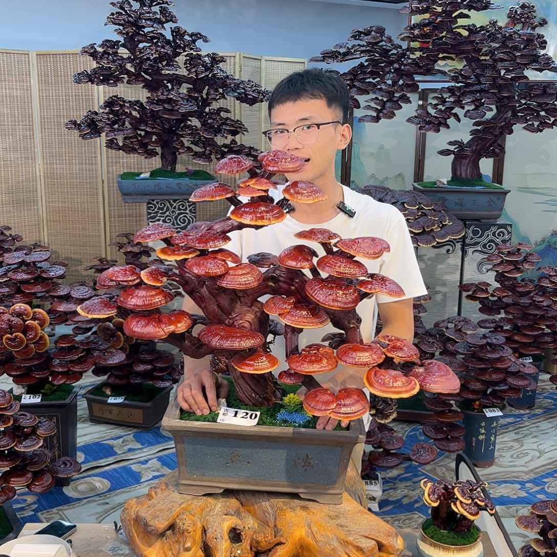 无花朵8888888888888888888