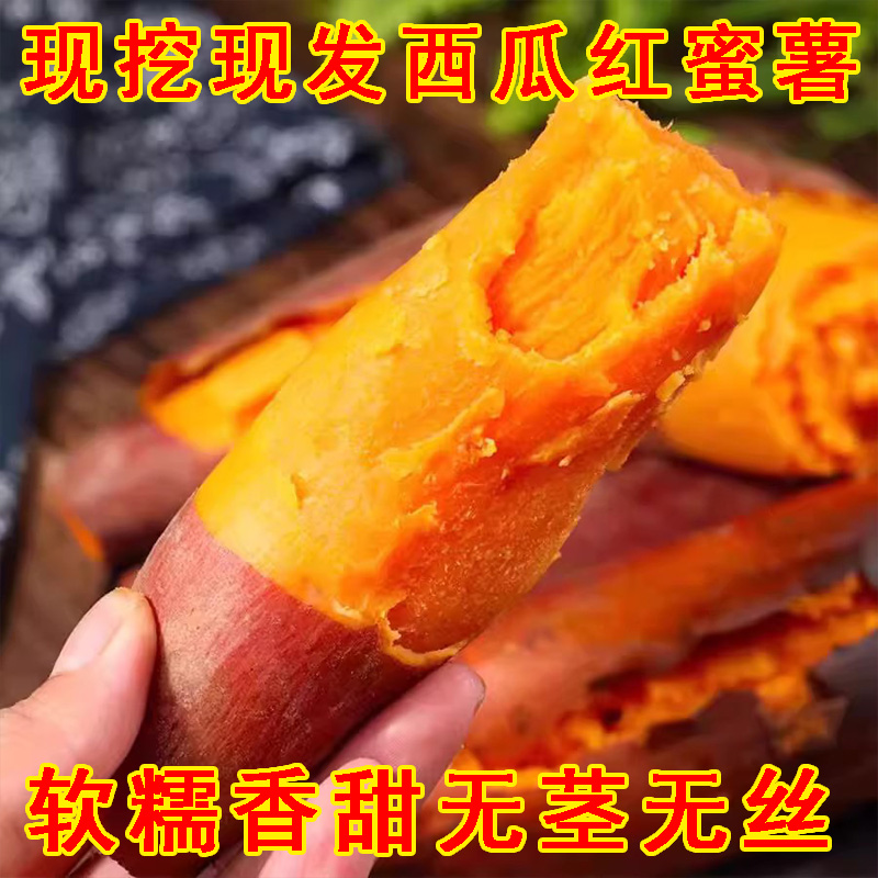 正宗黄心蜜薯新鲜现挖超甜软糯的地瓜番薯