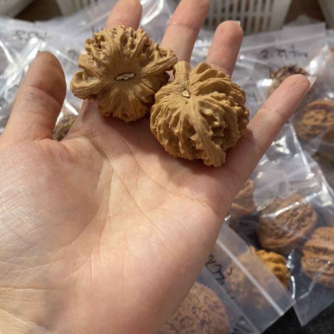 猴头核桃吊坠盘龙虎30