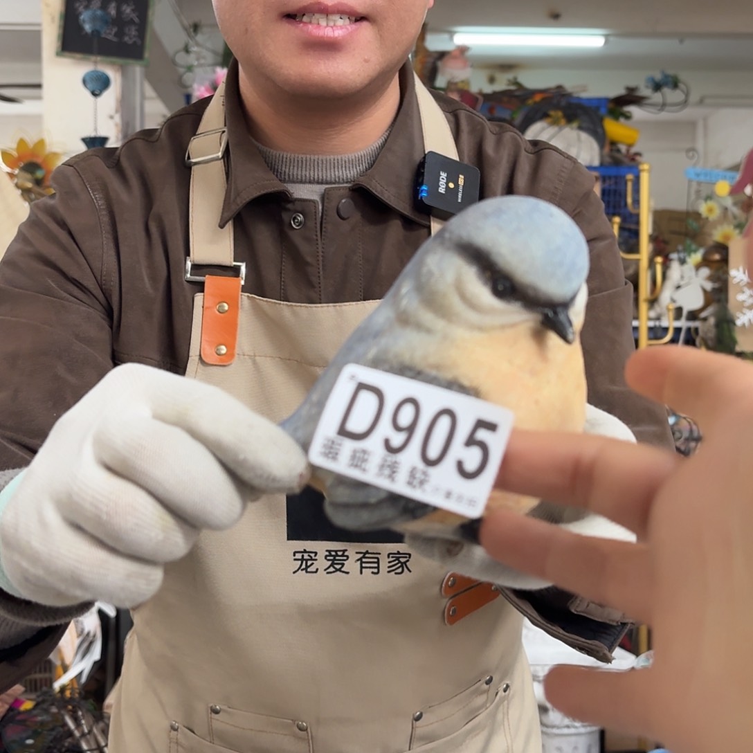 核桃木/黑胡桃（胡桃木）