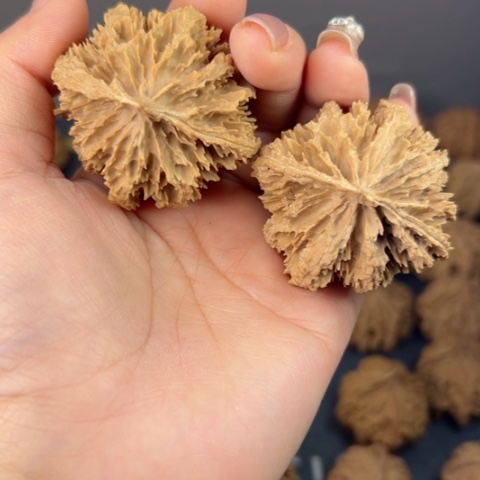 桃核吊坠野生野生