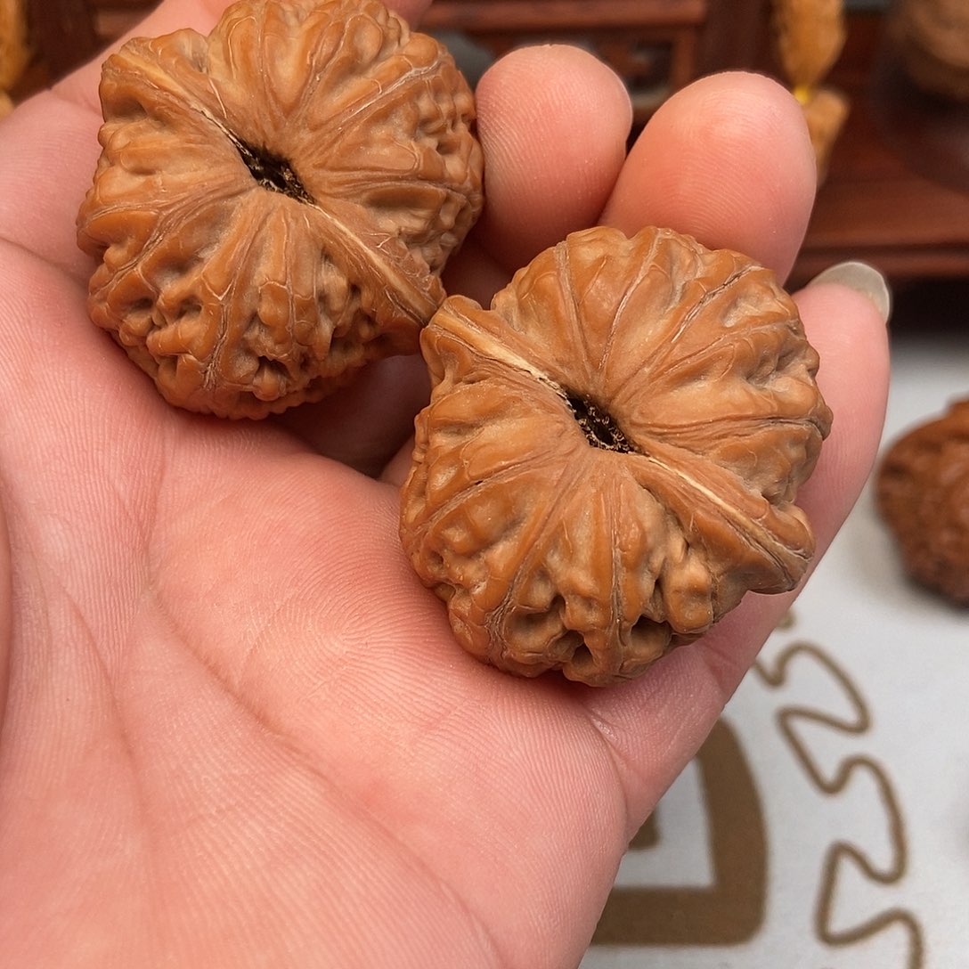 大叶紫檀（黑酸枝木类）元宝