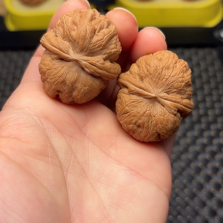 文玩核桃吊坠40平谷元宝狮子头