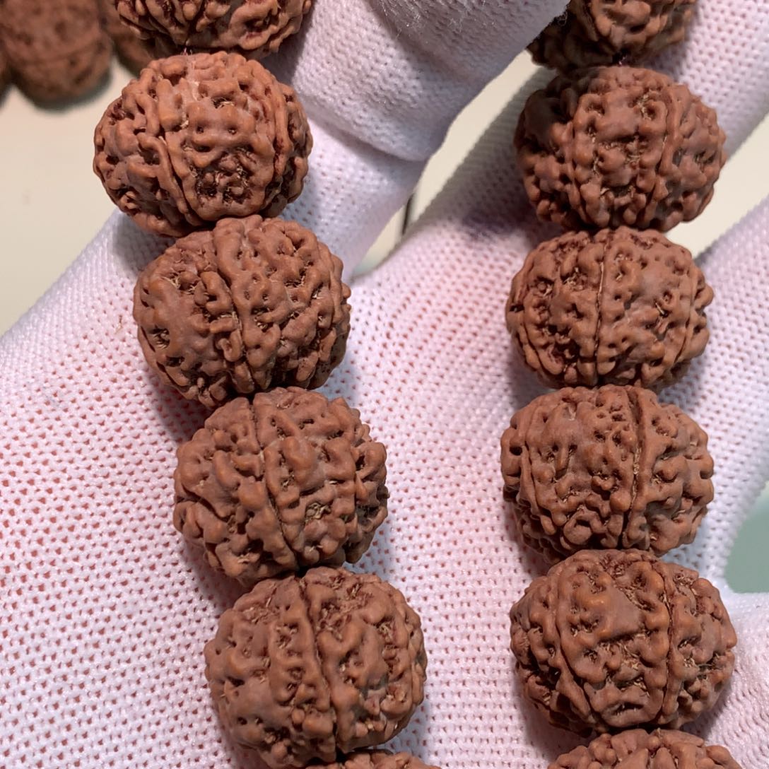 无***表金刚菩提吊坠六瓣姜黄皮20尺寸 精品头货