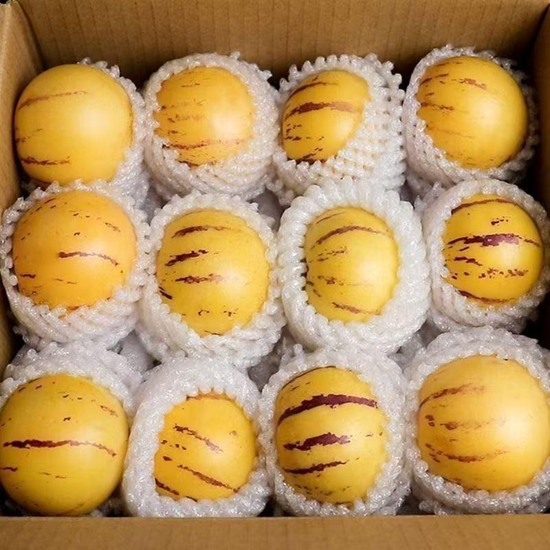 【自然熟】正宗云南石林果树上熟黄肉圆果新鲜清甜当季水果