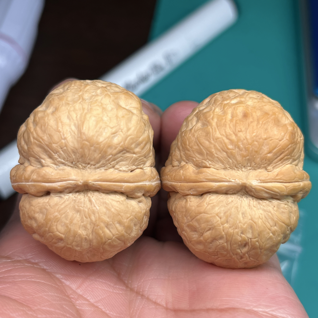 文玩铁核桃萌萌包40尺33克