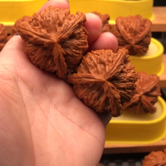 坤***哥文玩核桃吊坠核桃