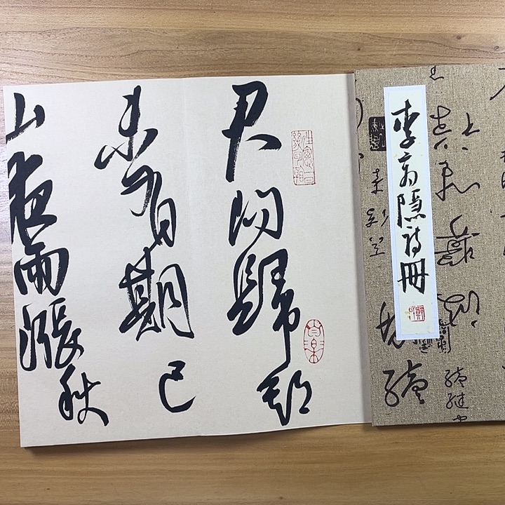 书法中书协会员作品