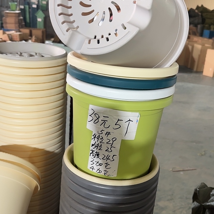 四季5#口径29灰白10个无托