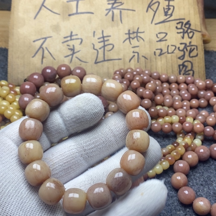 驼骨手串/手链鹏*