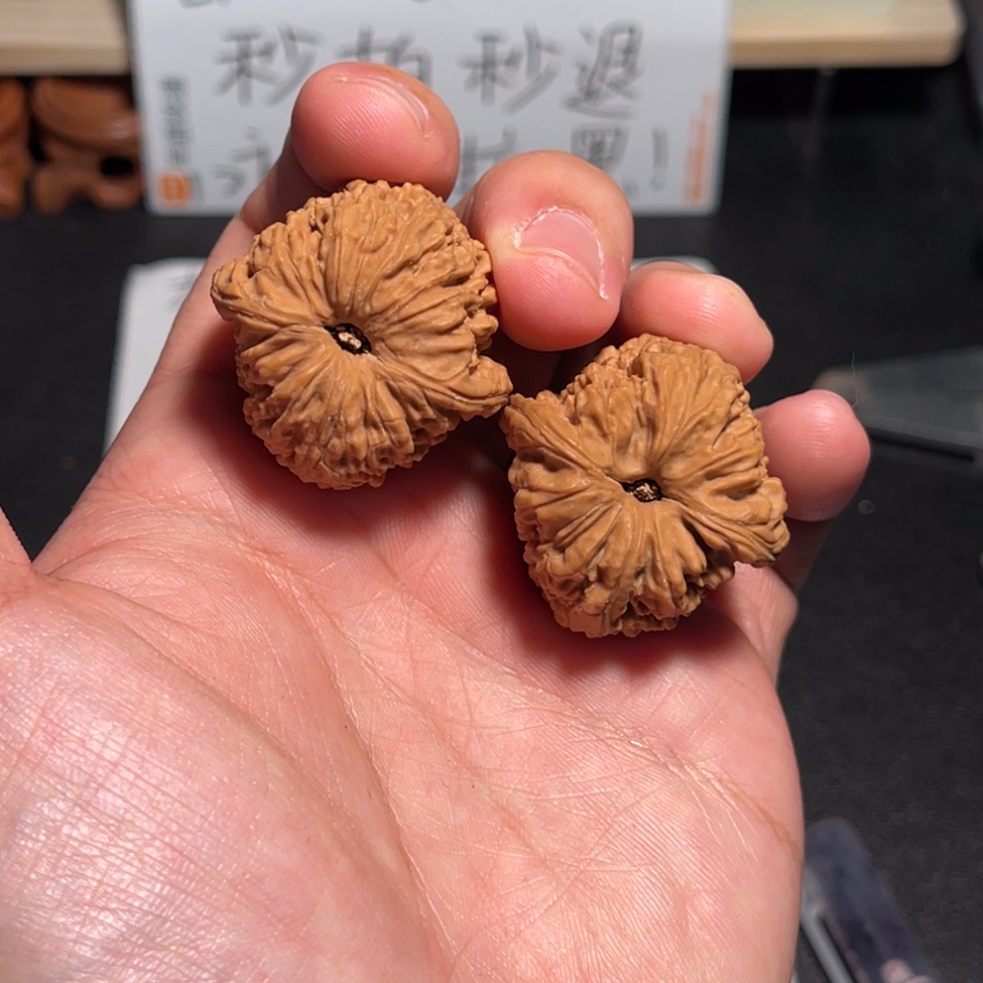 34全品涿鹿子弹头窝底儿南疆