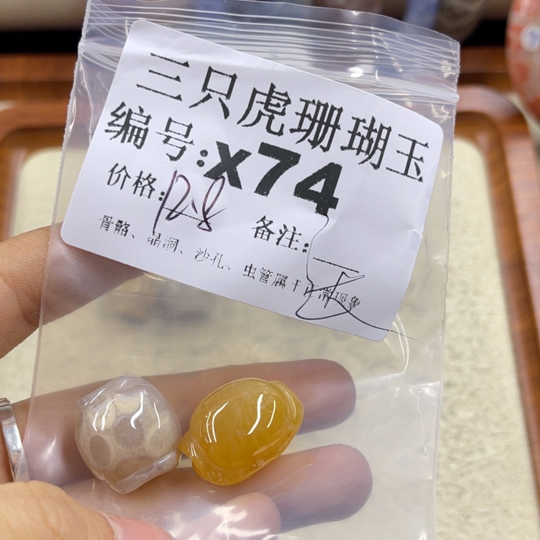 智***膜硅化珊瑚（珊瑚玉）未镶嵌h