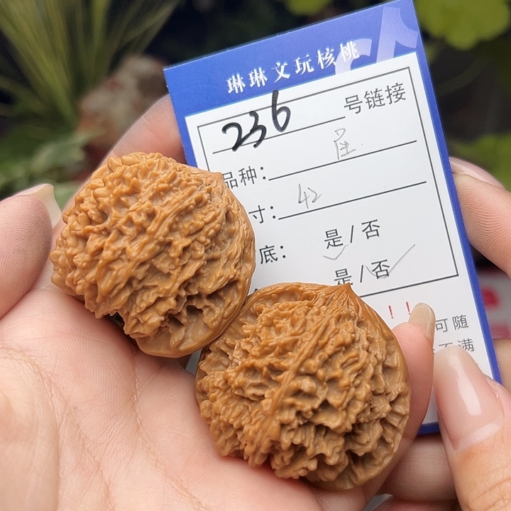 文玩核桃吊坠核桃236