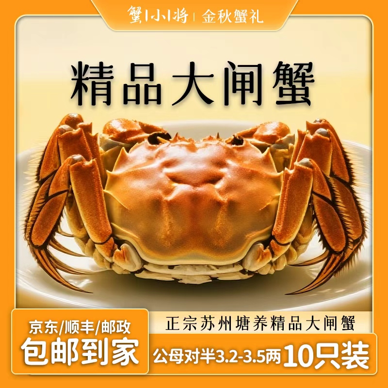 【活蟹现发】苏州精品大闸蟹 母蟹公蟹3.2-3.5两各5只装 共10只装新