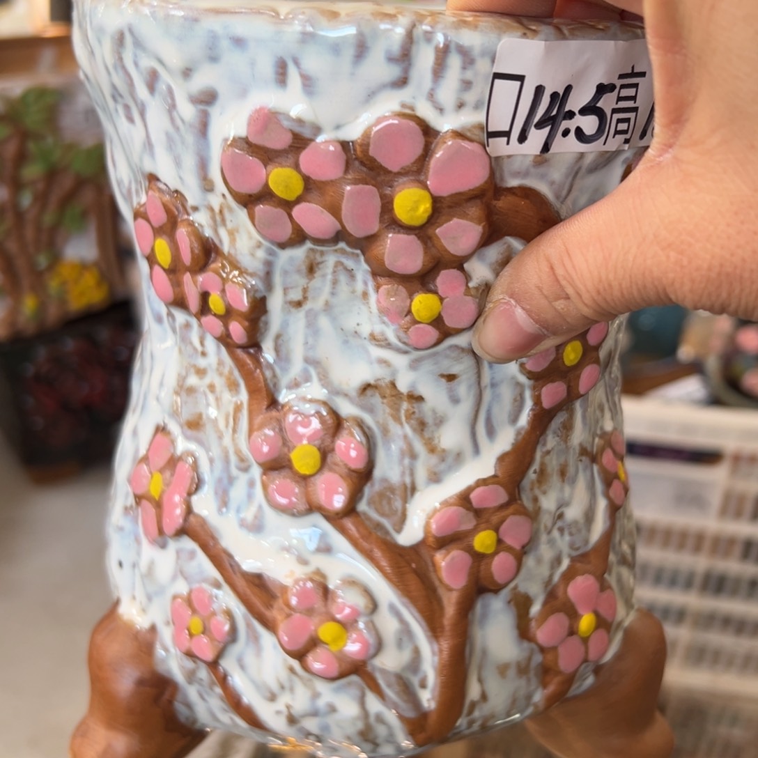 花盆，拍满20发货，退款拉黑