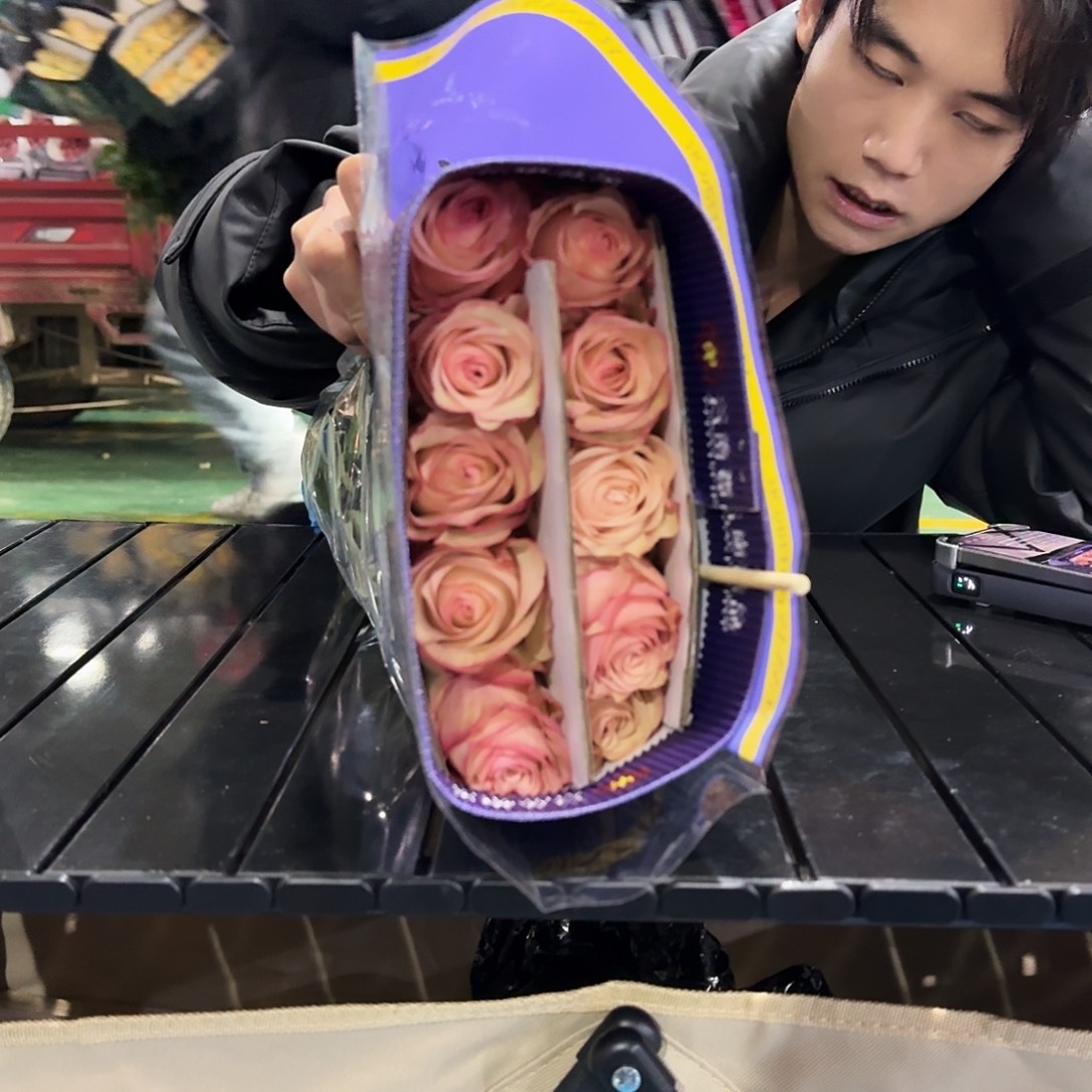 蔷品稀有单头杏粉玫瑰10支