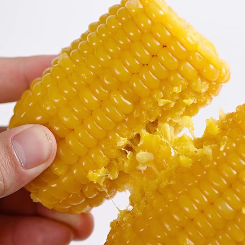 [免费试吃 不好吃包退][黄金八厘米]内蒙古甜糯玉米新鲜玉米25年