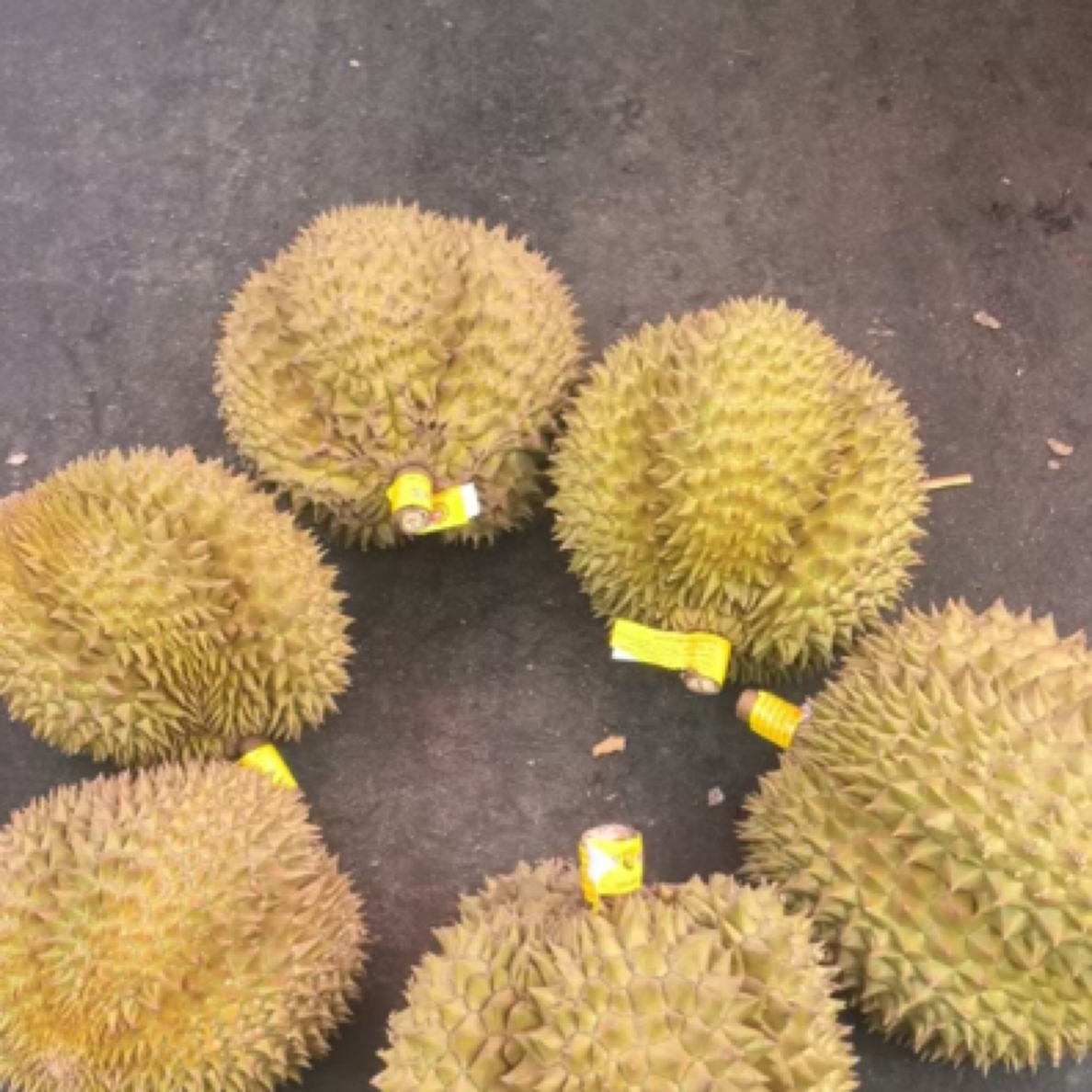 泰国金枕鲜榴莲整个（核小）1-9斤【直播改价】榴莲同城配金枕泰国东部