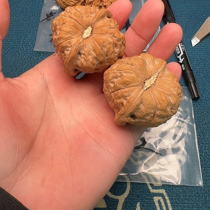 化***土文玩核桃吊坠哈哈哈哈哈哈哈