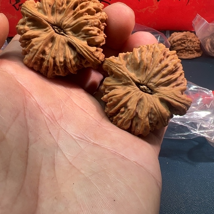 携***涯大叶紫檀（黑酸枝木类）