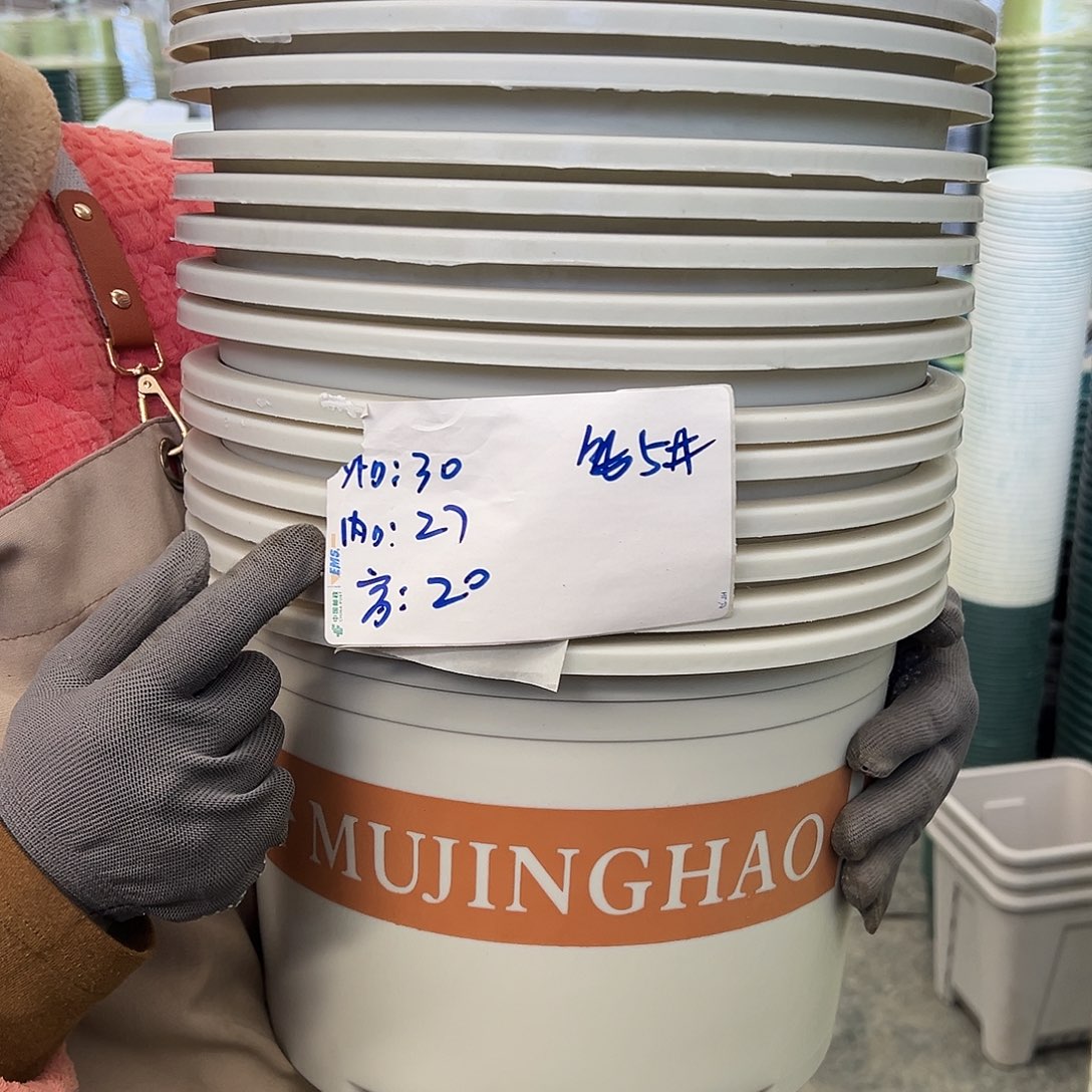 瑕疵矮胖5#米白色10个无托