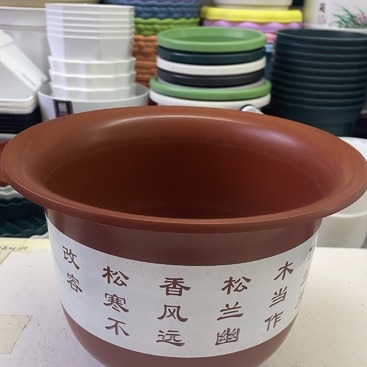 红山水250（口21.5高16）6个带托盘