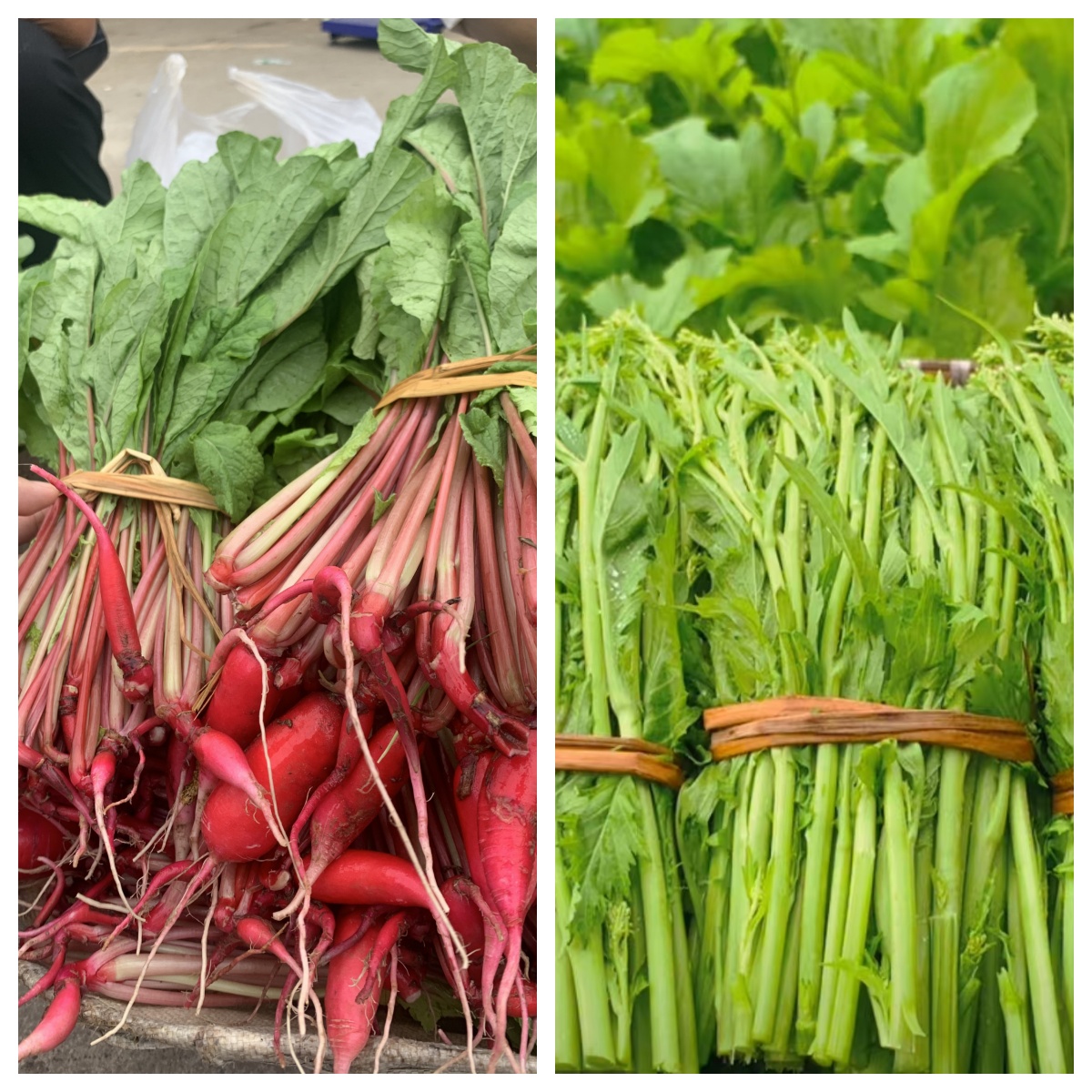 贵州农家自种新鲜（萝卜菜+青菜苔）组合做泡菜酸菜开胃时令蔬菜