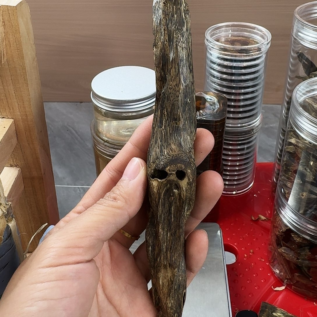 香料绿奇楠虫漏乌身圆叶20克