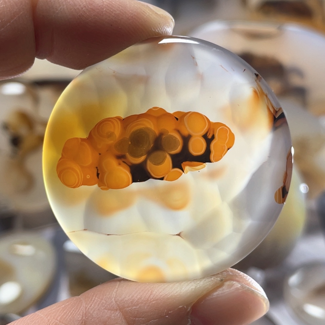 【闪购商品】玛瑙/玉髓颈饰合金