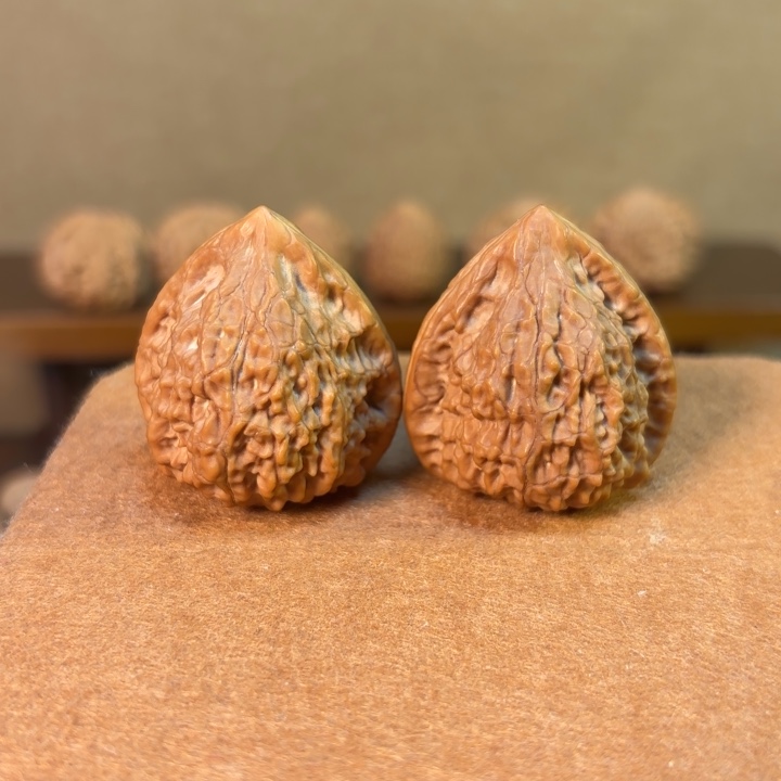 蛇王一抹37尺有修