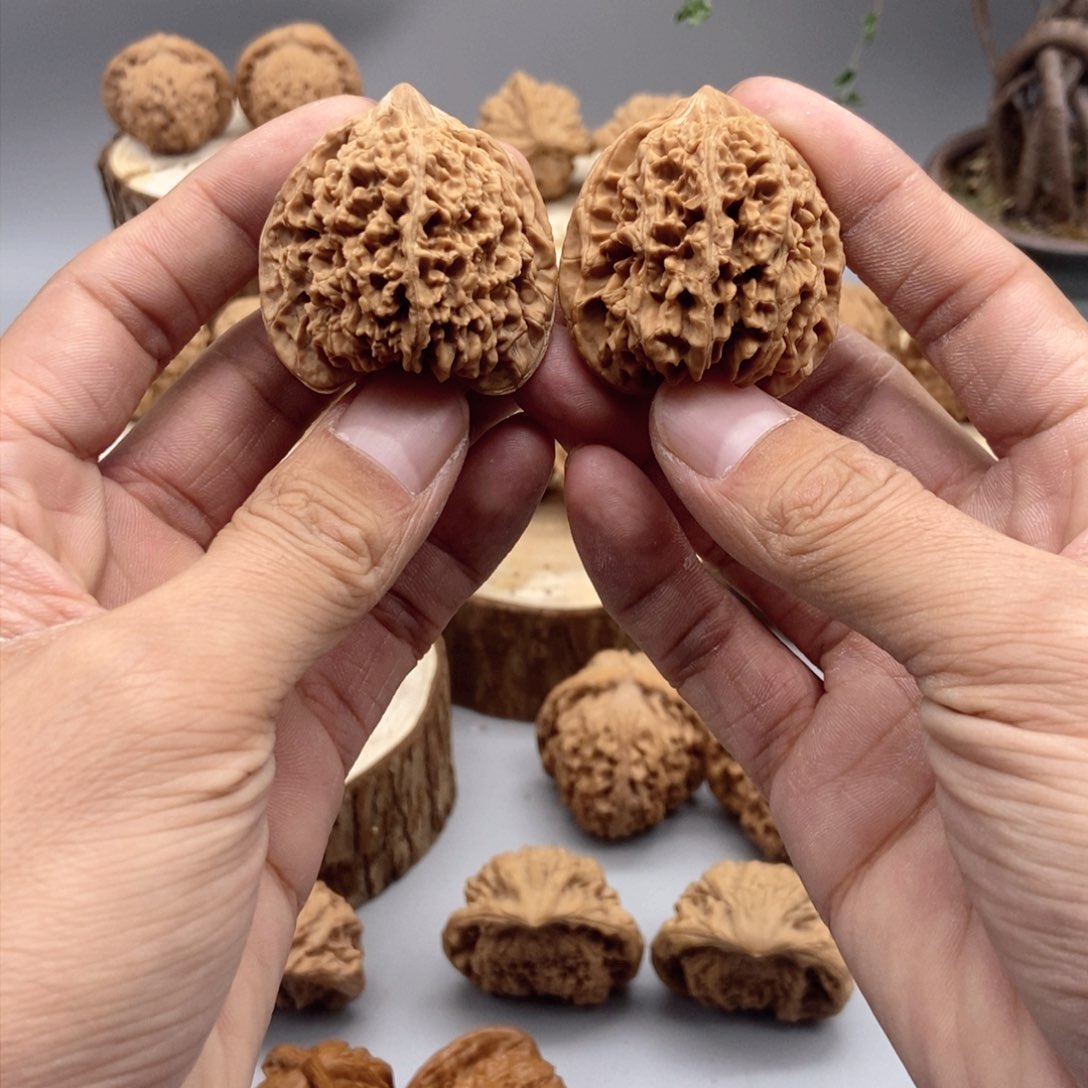 40尺寸全品满天星福利款