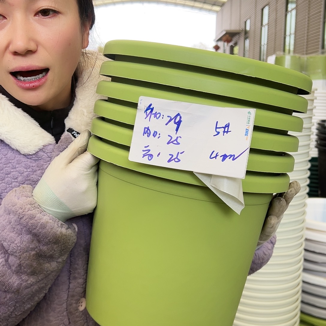 四季盆5#果绿6个无托