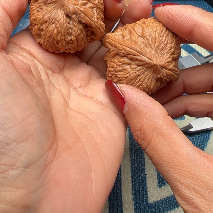 吊坠桃核文玩泥鳅背