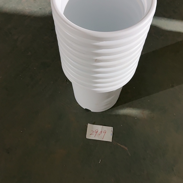 编号2909口33无托10个