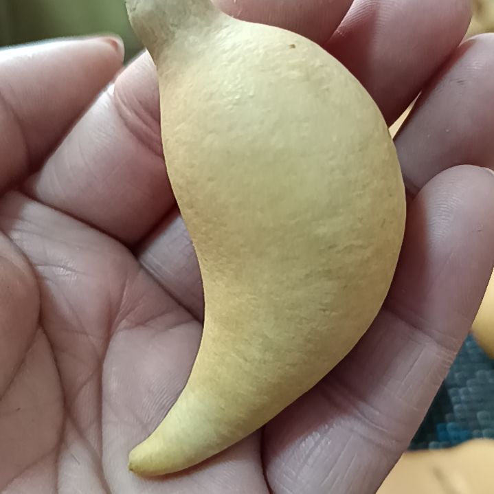 西****?葫芦葫芦葫芦葫芦