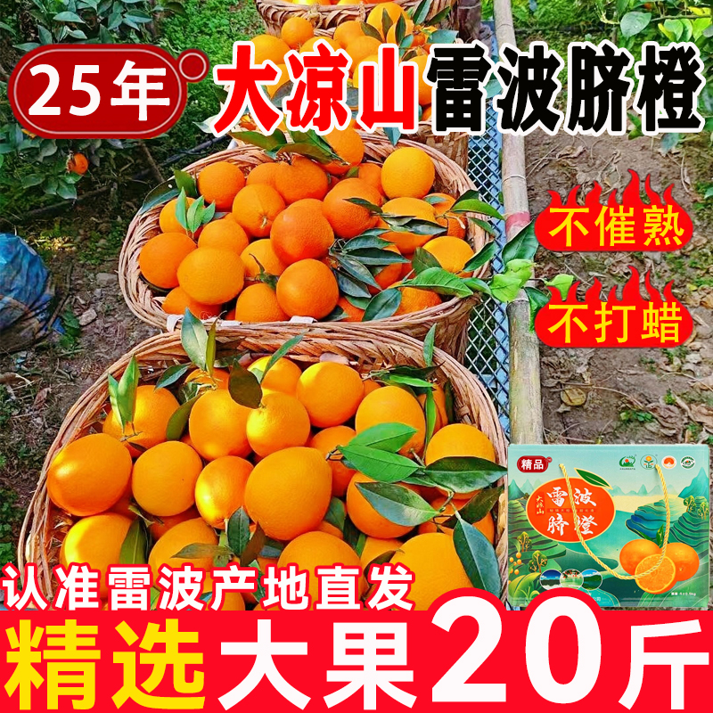 正宗四川大凉山雷波脐橙果肉饱满汁水足非江西赣南浦江爱媛果冻橙