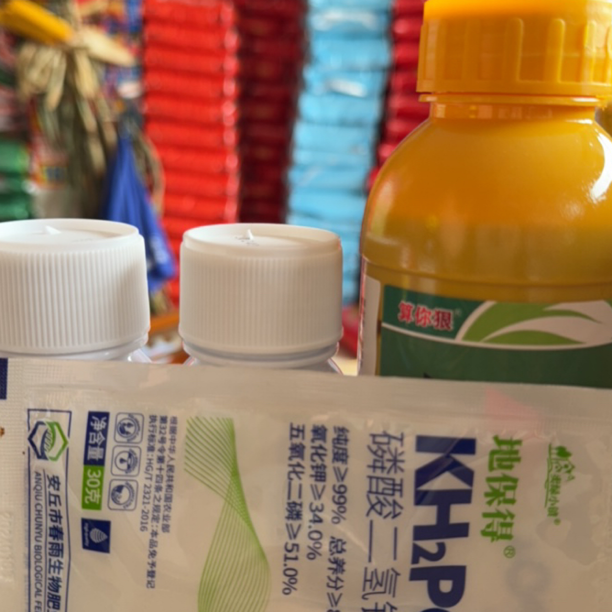 算你狠  大蒜水草野燕麦猪央央封闭方案一套一亩两桶水