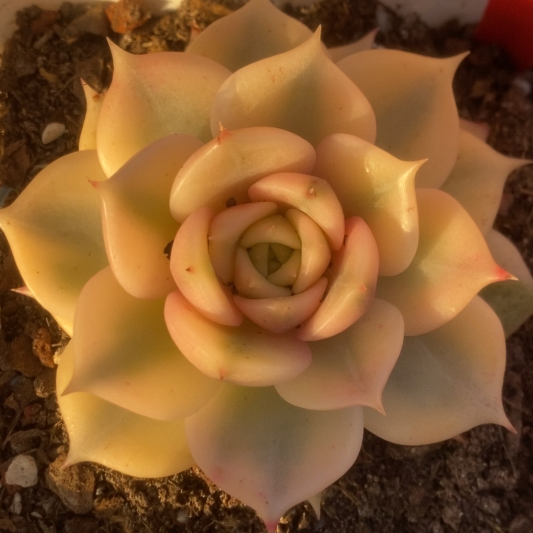 384贝加尔湖锦锦锦锦锦锦