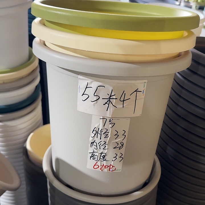 微瑕7#灰白6个无托