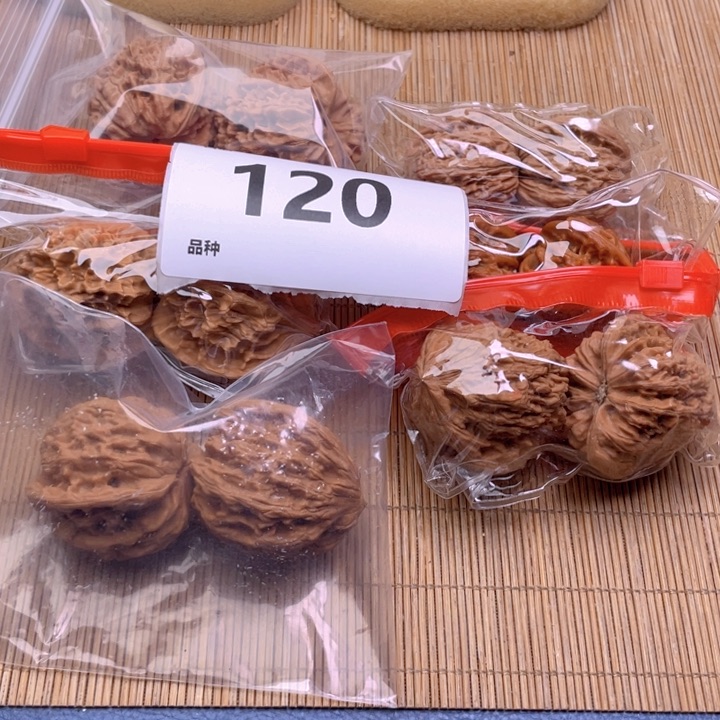 文玩核桃把件120号6对