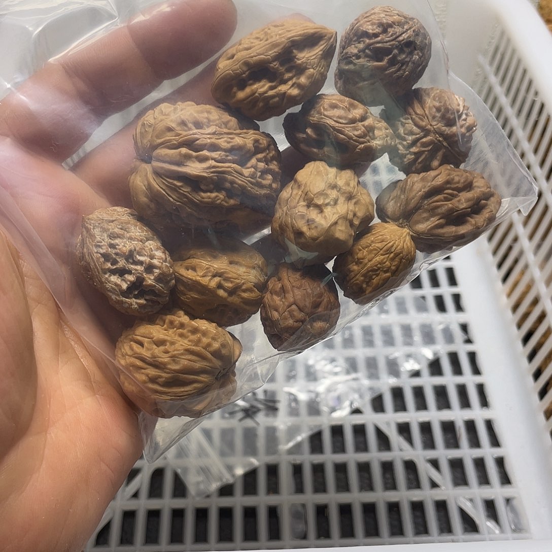 一***·吊坠文玩核桃不退不换