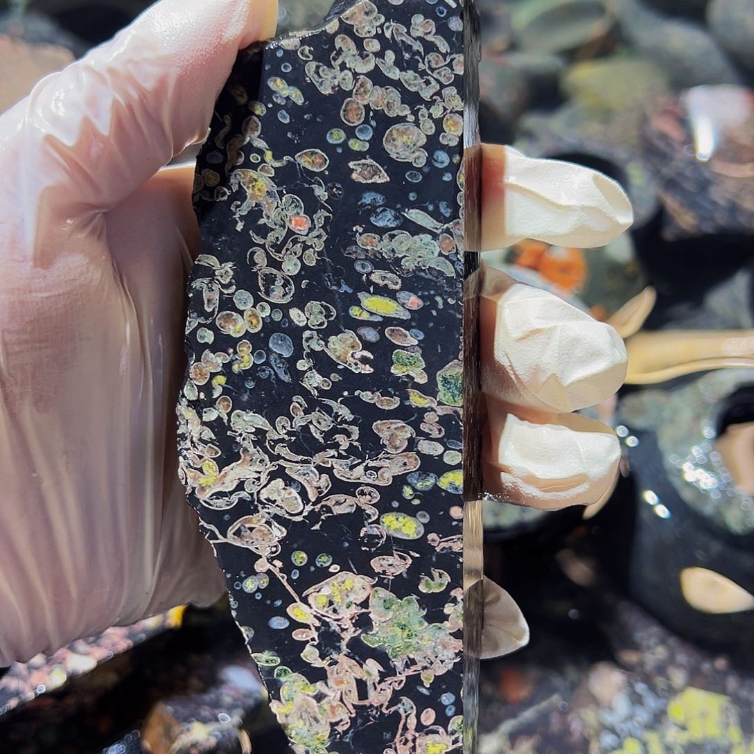 梅花玉鱼缸石茶周边微瑕不退不换