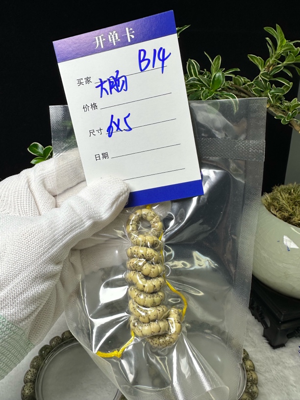 非金属树脂手链 B14,大肠黄色长圈